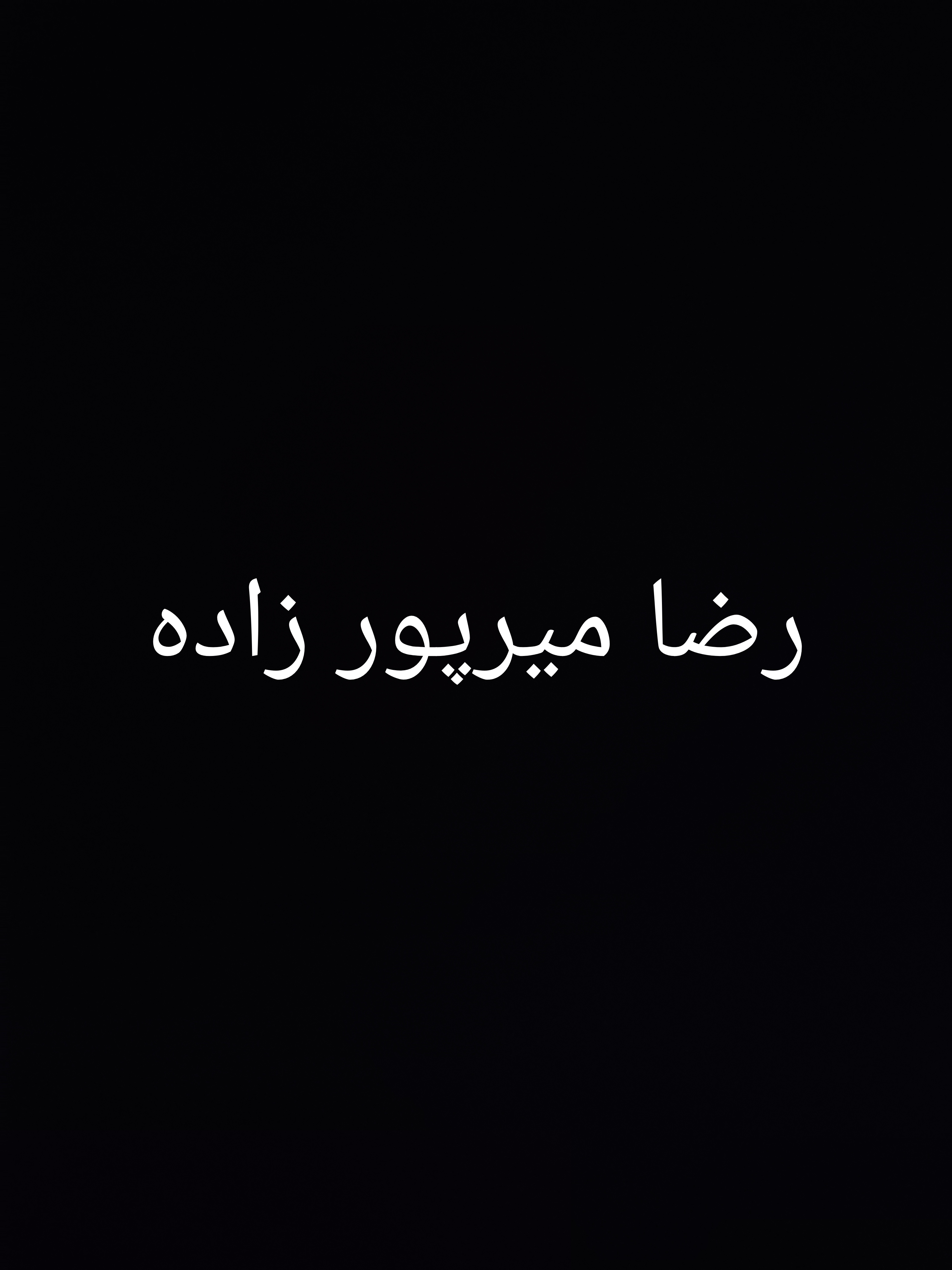 رضا میرپور زاده پل پلی